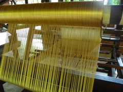 PB010527