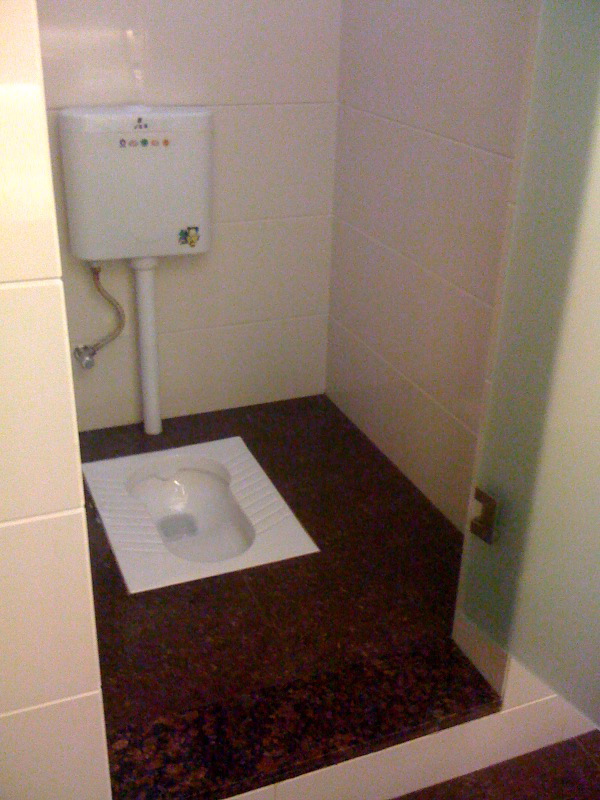 upscale nice Squat Hole I've Seen!
