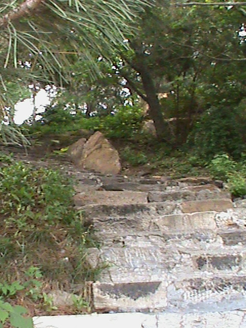 SummerPalace73