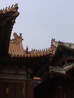 LamaTemple29