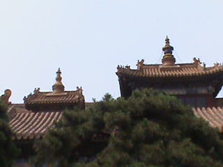 LamaTemple77