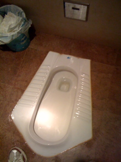 Squat Toilet with auto flush!-Public