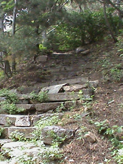 SummerPalace71