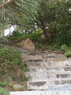 SummerPalace73
