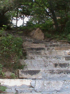 SummerPalace74