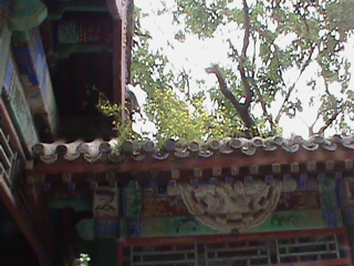 SummerPalace86