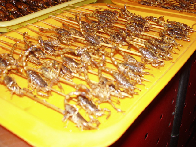 Beijing_Food St Scorpions 84