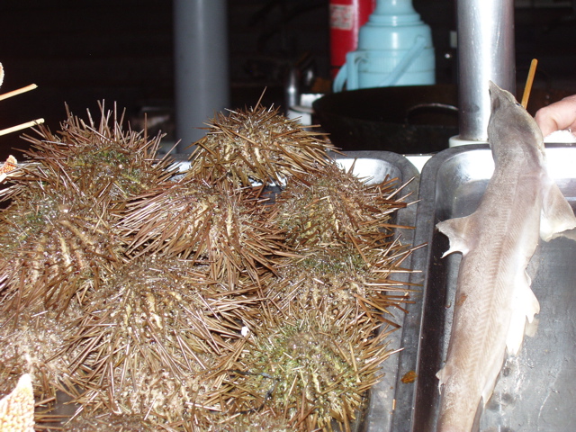 Beijing_Food St. Sea Urchin?91