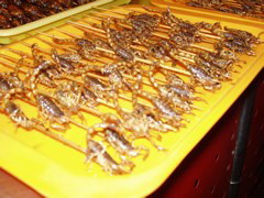 Beijing_Food St Scorpions 84