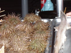 Beijing_Food St. Sea Urchin?91