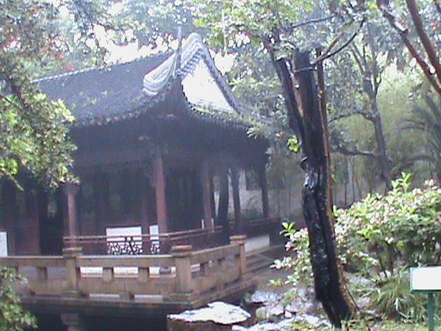 ShghYuyuanGdns008