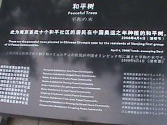 NanjingMassacreMemorial84