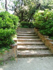 Park Steps