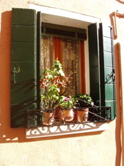 Lace of Burano