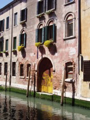 Windows & Doors: 7