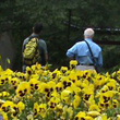 Fawn's 2 Favorite Flowers Walking